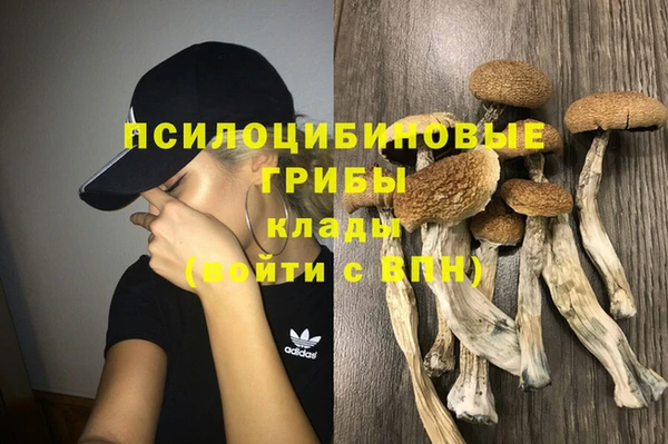 МДПВ Верхний Тагил